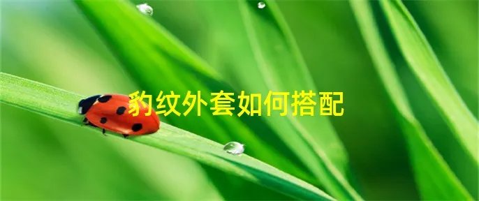 豹纹外套如何搭配