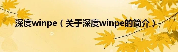 深度winpe(关于深度winpe的简介)