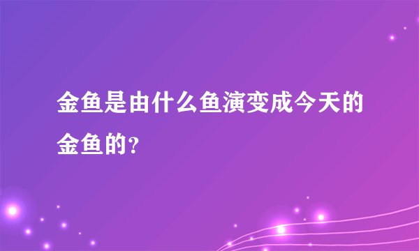 金鱼是由什么鱼演变成今天的金鱼的？
