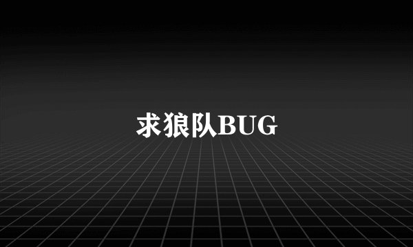 求狼队BUG