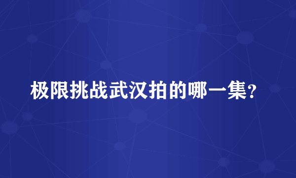 极限挑战武汉拍的哪一集？