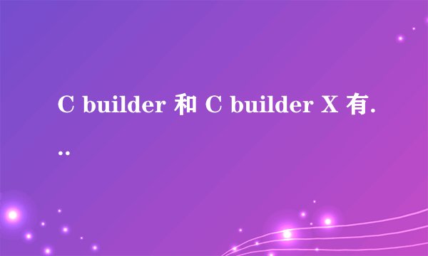 C builder 和 C builder X 有什么区别？