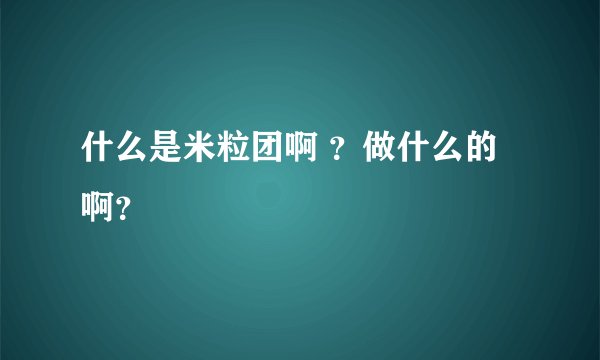 什么是米粒团啊 ？做什么的啊？