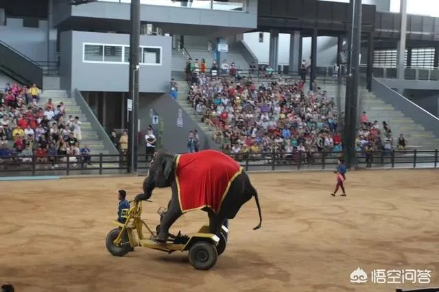 去泰国旅游如何避免被坑？