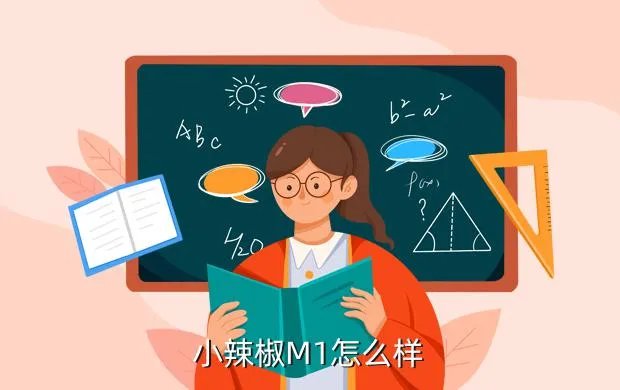 小辣椒m1评测，小辣椒M1怎么样
