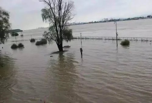 受降雨影响秦淮河洪水发出橙色预警，橙色预警是什么意思？
