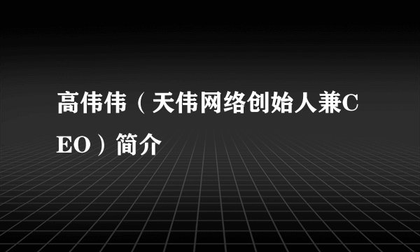 高伟伟（天伟网络创始人兼CEO）简介