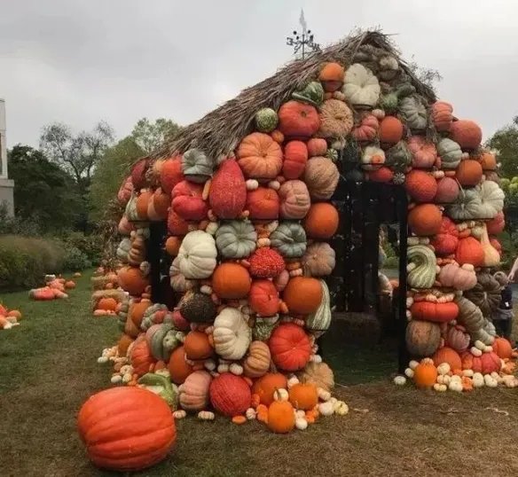 热带雨林惊现鲸鱼尸骨!27张千年一遇的神奇巧合照片