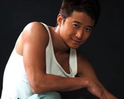 吴京甄子丹赵文卓谁厉害？ 分类分析求王者