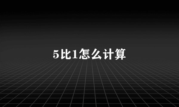 5比1怎么计算