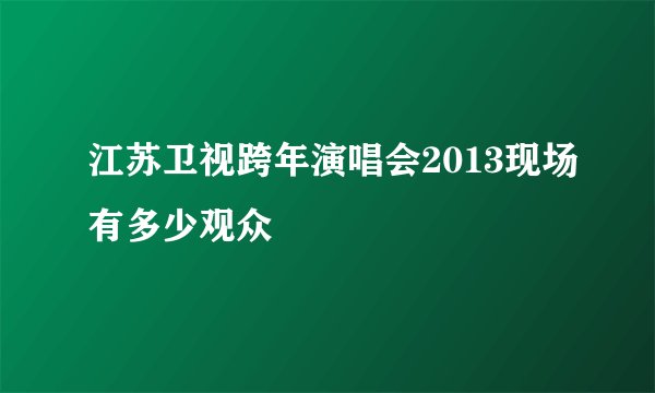 江苏卫视跨年演唱会2013现场有多少观众