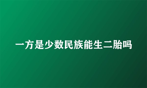 一方是少数民族能生二胎吗