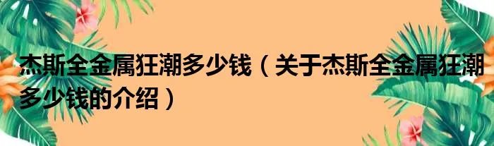 杰斯全金属狂潮多少钱（关于杰斯全金属狂潮多少钱的介绍）