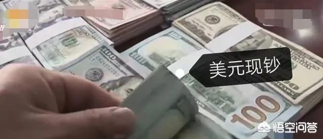 上海一公交车司机捡到10万美金，最终找到失主是一名有精神病史的老人，这事你怎么看？