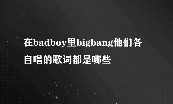 在badboy里bigbang他们各自唱的歌词都是哪些
