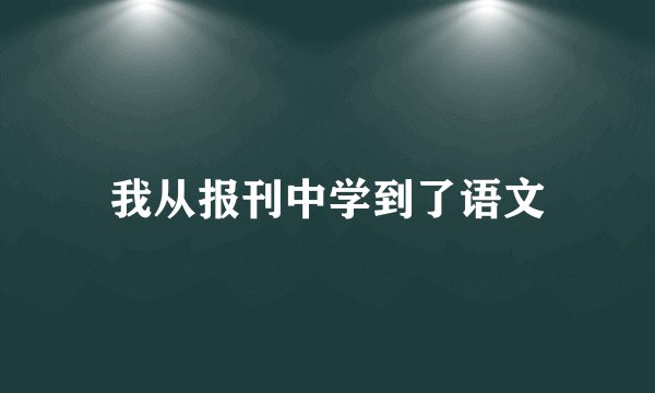 我从报刊中学到了语文