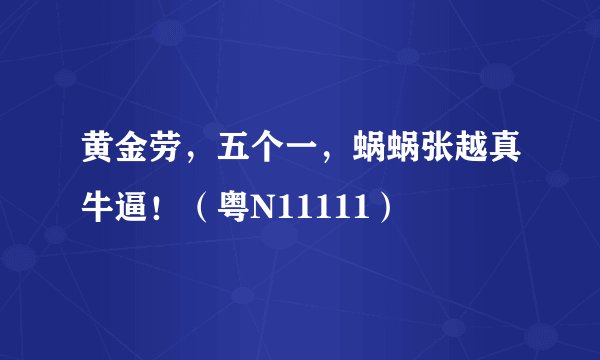 黄金劳，五个一，蜗蜗张越真牛逼！（粤N11111）