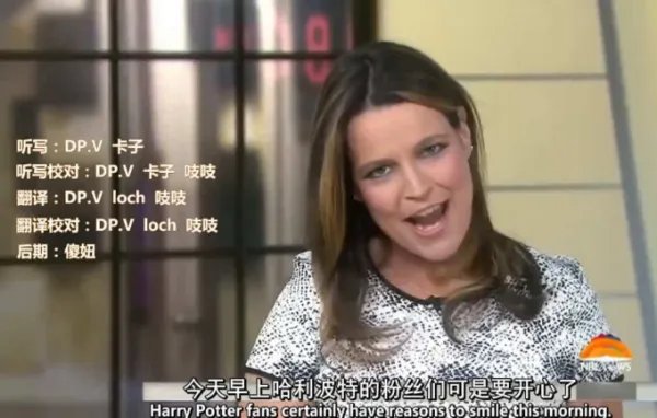 有哪些无节操的字幕组和字幕？