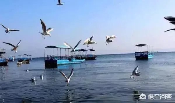 云南玉溪这座四、五线城市,未来几年房价走势如何,有何依据,目前买房是否合理?