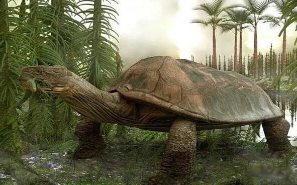 塞雷洪泰坦蟒的图片长什么样 有多大灭绝了吗