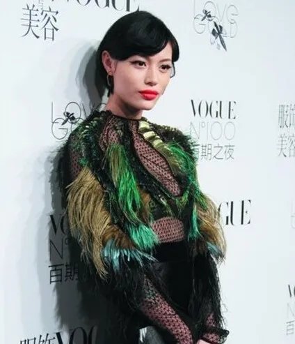 汪峰前妻康作如资料照片曝光 三度发声力证汪峰婚后出轨