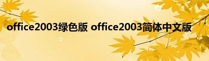 office2003绿色版 office2003简体中文版