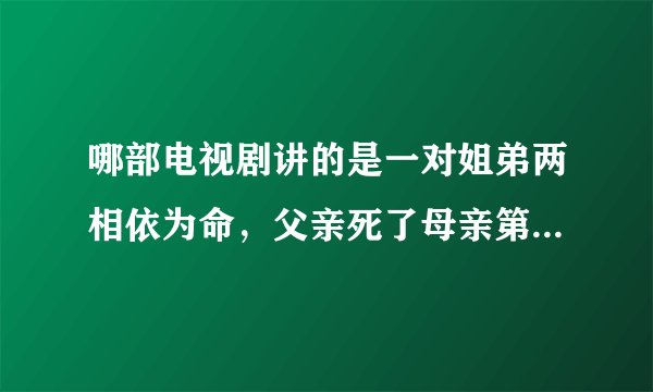哪部电视剧讲的是一对姐弟两相依为命,父亲死了母亲第一次改嫁给一个手术室的主刀,第二次嫁给一个开货