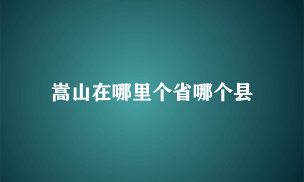 嵩山在哪里个省哪个县