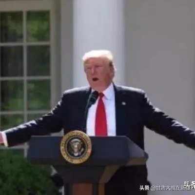 特朗普为什么建议推迟美国总统选举？