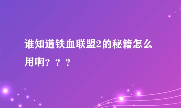 谁知道铁血联盟2的秘籍怎么用啊？？？