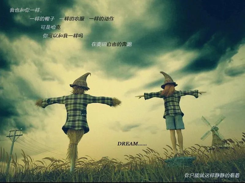 求好看的非主流图片，不要人物的！