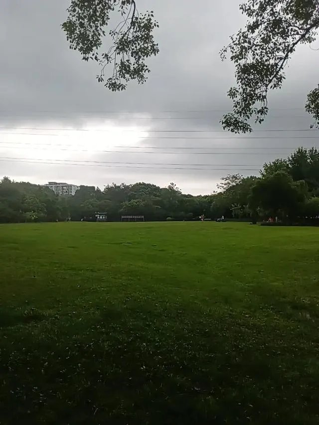 有什么事情是退休了才知道的?