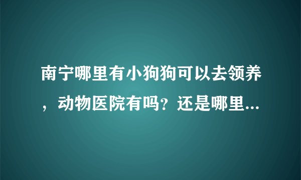 南宁哪里有小狗狗可以去领养，动物医院有吗？还是哪里？不要说那些什么网站，我看了也没什么用，都是卖狗的