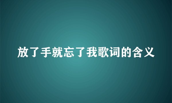 放了手就忘了我歌词的含义