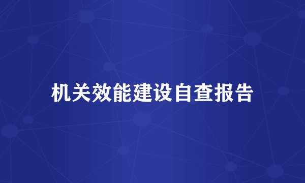 机关效能建设自查报告