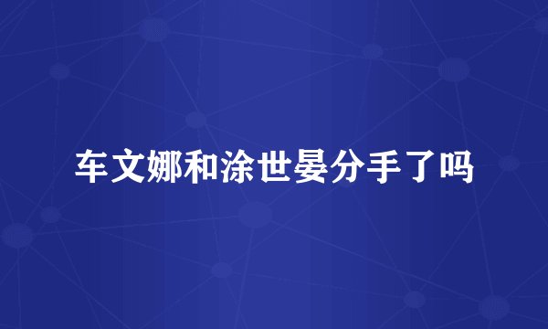 车文娜和涂世晏分手了吗