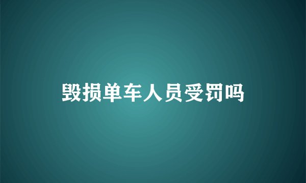 毁损单车人员受罚吗