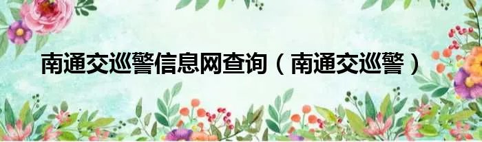 南通交巡警信息网查询（南通交巡警）