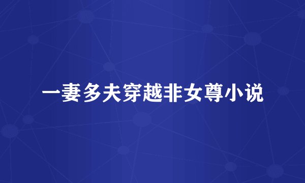 一妻多夫穿越非女尊小说