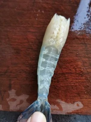 食材_大头虾窍门