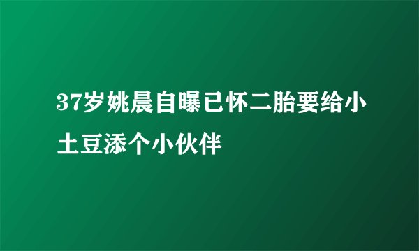 37岁姚晨自曝已怀二胎要给小土豆添个小伙伴