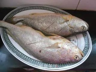 家常黄花鱼