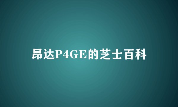 昂达P4GE的芝士百科