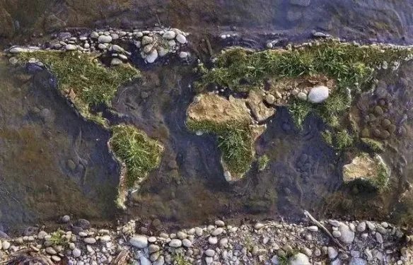 热带雨林惊现鲸鱼尸骨!27张千年一遇的神奇巧合照片