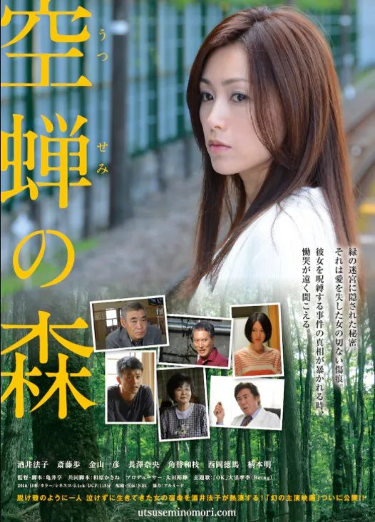 酒井法子主演电影《空蝉之森》新预告 2月5日上映