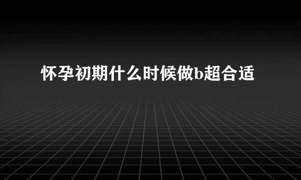 怀孕初期什么时候做b超合适
