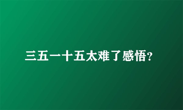 三五一十五太难了感悟？