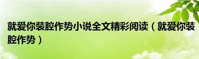 就爱你装腔作势小说全文精彩阅读（就爱你装腔作势）