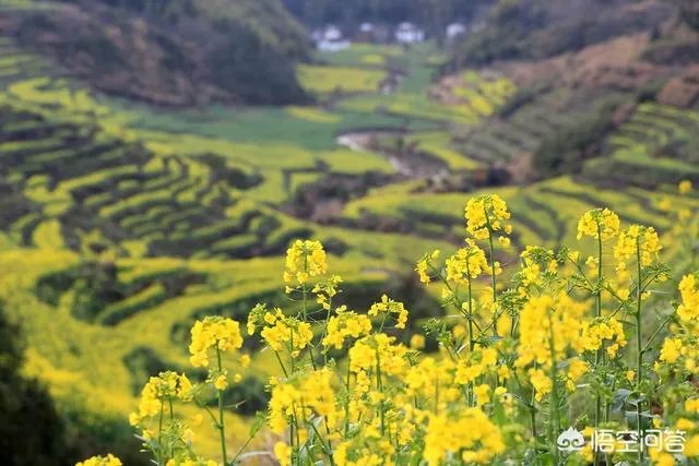 你对江西婺源景区强收卫生费怎么看？