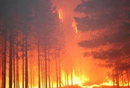 黑龙江一列车被大火逼停！外面的火势有多大？